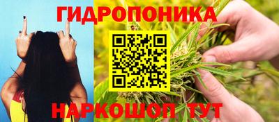 ГАЛЛЮЦИНОГЕННЫЕ ГРИБЫ Конаково