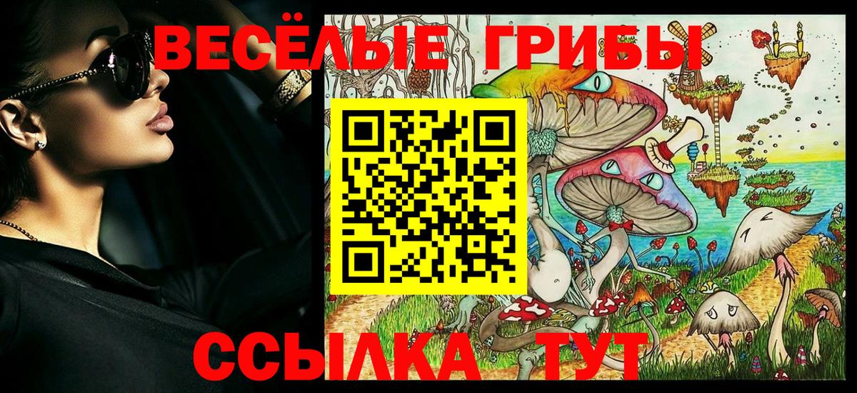 где купить наркоту  Галлюциногенные грибы Psilocybe  Кинель  Вход с VPN  Псилоцибиновые грибы ЛСД 