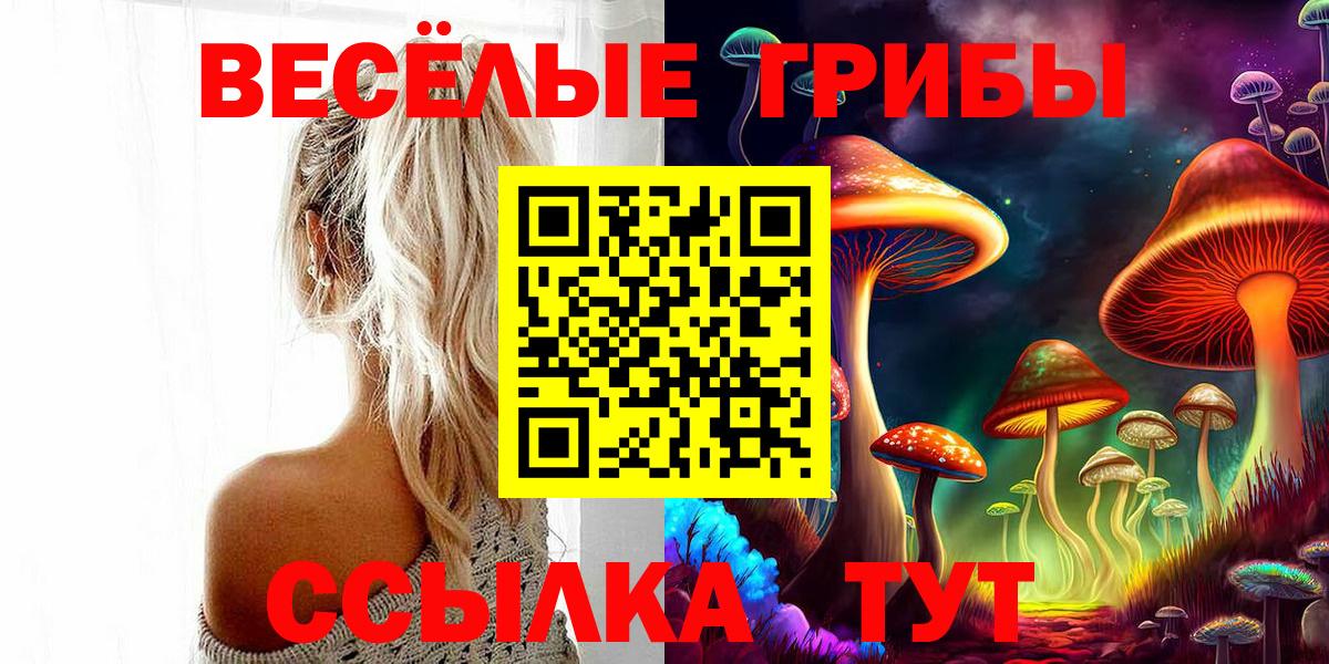 Галлюциногенные грибы прущие грибы Кинель